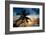 Palm Paradise at Sunset - Florida - USA-Philippe Hugonnard-Framed Photographic Print