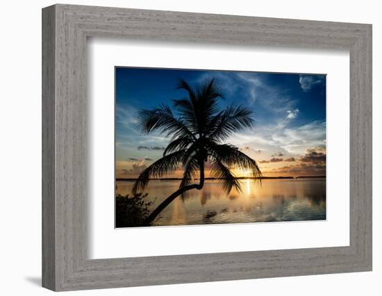 Palm Paradise at Sunset - Florida - USA-Philippe Hugonnard-Framed Photographic Print