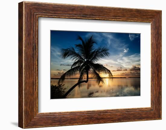 Palm Paradise at Sunset - Florida - USA-Philippe Hugonnard-Framed Photographic Print