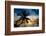 Palm Paradise at Sunset - Florida - USA-Philippe Hugonnard-Framed Photographic Print