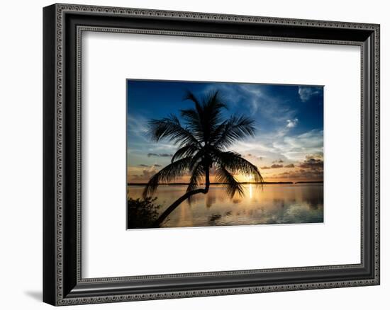 Palm Paradise at Sunset - Florida - USA-Philippe Hugonnard-Framed Photographic Print