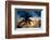 Palm Paradise at Sunset - Florida - USA-Philippe Hugonnard-Framed Photographic Print