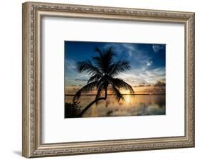 Palm Paradise at Sunset - Florida - USA-Philippe Hugonnard-Framed Photographic Print