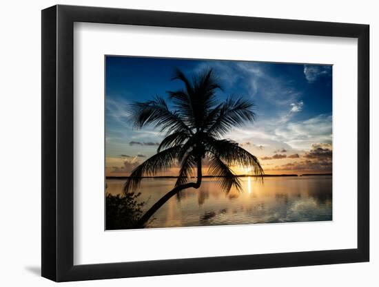 Palm Paradise at Sunset - Florida - USA-Philippe Hugonnard-Framed Photographic Print