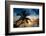 Palm Paradise at Sunset - Florida - USA-Philippe Hugonnard-Framed Photographic Print