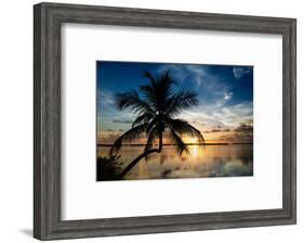 Palm Paradise at Sunset - Florida - USA-Philippe Hugonnard-Framed Photographic Print