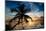 Palm Paradise at Sunset - Florida - USA-Philippe Hugonnard-Mounted Photographic Print