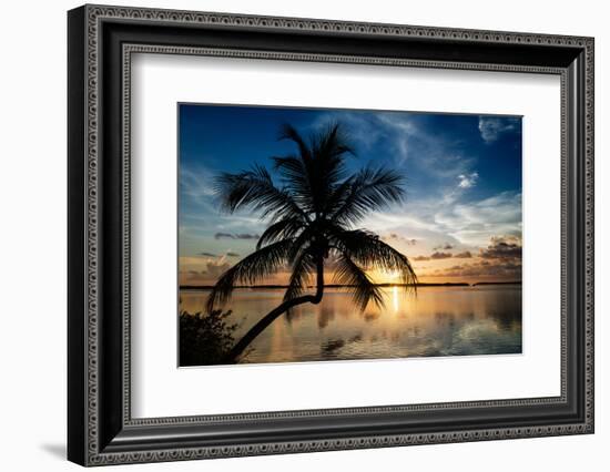 Palm Paradise at Sunset - Florida - USA-Philippe Hugonnard-Framed Photographic Print