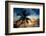 Palm Paradise at Sunset - Florida - USA-Philippe Hugonnard-Framed Photographic Print