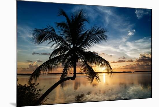 Palm Paradise at Sunset - Florida - USA-Philippe Hugonnard-Mounted Premium Photographic Print