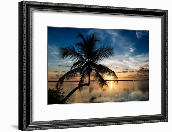 Palm Paradise at Sunset - Florida - USA-Philippe Hugonnard-Framed Photographic Print