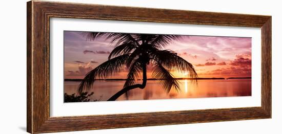 Palm Paradise at Sunset - Florida - USA-Philippe Hugonnard-Framed Photographic Print