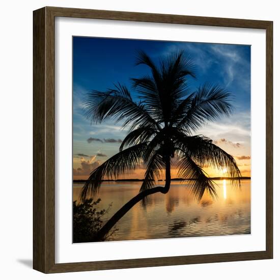 Palm Paradise at Sunset - Florida - USA-Philippe Hugonnard-Framed Photographic Print