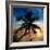 Palm Paradise at Sunset - Florida - USA-Philippe Hugonnard-Framed Photographic Print