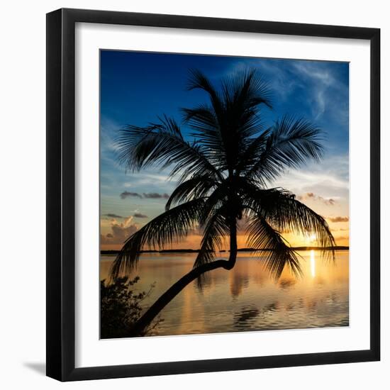 Palm Paradise at Sunset - Florida - USA-Philippe Hugonnard-Framed Photographic Print