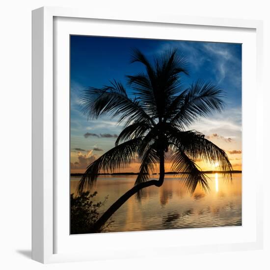 Palm Paradise at Sunset - Florida - USA-Philippe Hugonnard-Framed Photographic Print