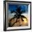 Palm Paradise at Sunset - Florida - USA-Philippe Hugonnard-Framed Photographic Print