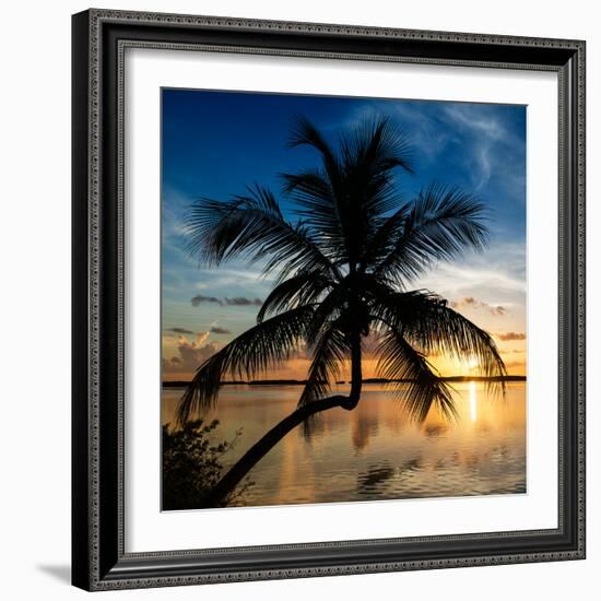 Palm Paradise at Sunset - Florida - USA-Philippe Hugonnard-Framed Photographic Print