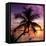 Palm Paradise at Sunset - Florida - USA-Philippe Hugonnard-Framed Premier Image Canvas