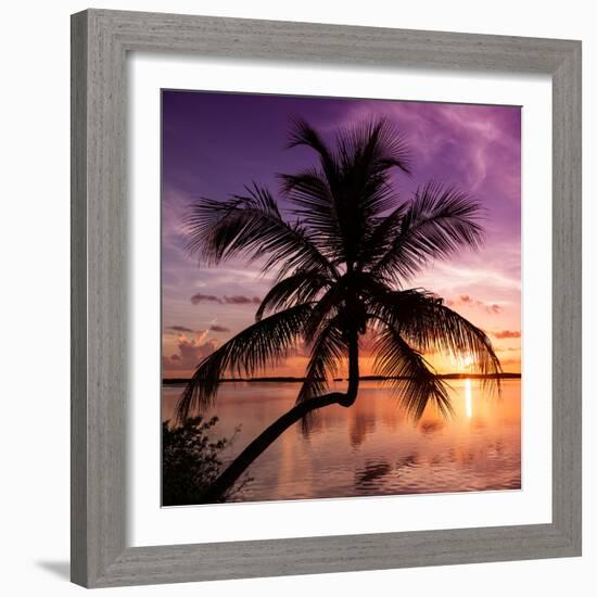 Palm Paradise at Sunset - Florida - USA-Philippe Hugonnard-Framed Photographic Print