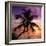 Palm Paradise at Sunset - Florida - USA-Philippe Hugonnard-Framed Photographic Print