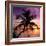 Palm Paradise at Sunset - Florida - USA-Philippe Hugonnard-Framed Photographic Print