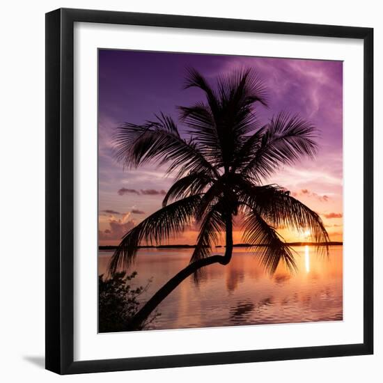 Palm Paradise at Sunset - Florida - USA-Philippe Hugonnard-Framed Photographic Print