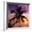 Palm Paradise at Sunset - Florida - USA-Philippe Hugonnard-Framed Photographic Print