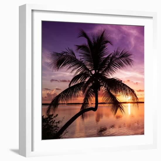 Palm Paradise at Sunset - Florida - USA-Philippe Hugonnard-Framed Photographic Print