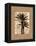 Palm Paradise II-John Seba-Framed Stretched Canvas