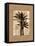 Palm Paradise II-John Seba-Framed Stretched Canvas