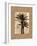 Palm Paradise II-John Seba-Framed Art Print