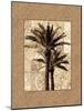 Palm Paradise II-John Seba-Mounted Art Print