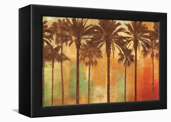 Palm Paradise-John Seba-Framed Stretched Canvas