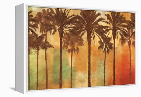 Palm Paradise-John Seba-Framed Stretched Canvas