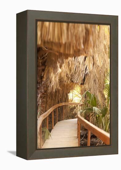 Palm Pathway I-Karyn Millet-Framed Premier Image Canvas