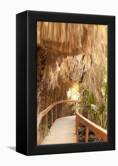 Palm Pathway I-Karyn Millet-Framed Premier Image Canvas