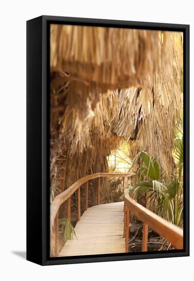 Palm Pathway I-Karyn Millet-Framed Premier Image Canvas