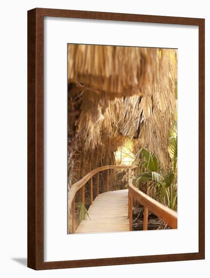 Palm Pathway I-Karyn Millet-Framed Photographic Print