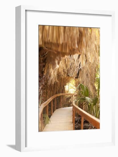 Palm Pathway I-Karyn Millet-Framed Photographic Print