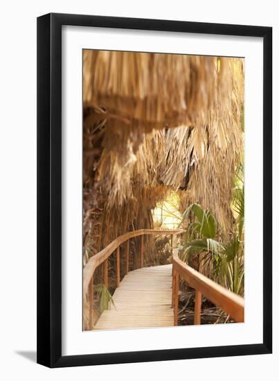 Palm Pathway I-Karyn Millet-Framed Photographic Print