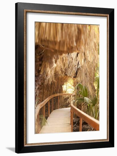 Palm Pathway I-Karyn Millet-Framed Photographic Print