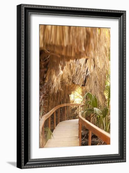 Palm Pathway I-Karyn Millet-Framed Photographic Print