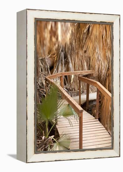 Palm Pathway II-Karyn Millet-Framed Premier Image Canvas