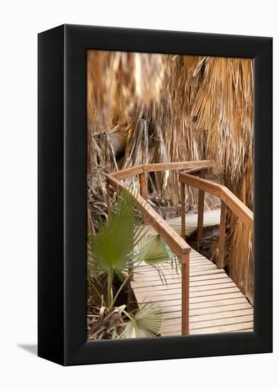 Palm Pathway II-Karyn Millet-Framed Premier Image Canvas