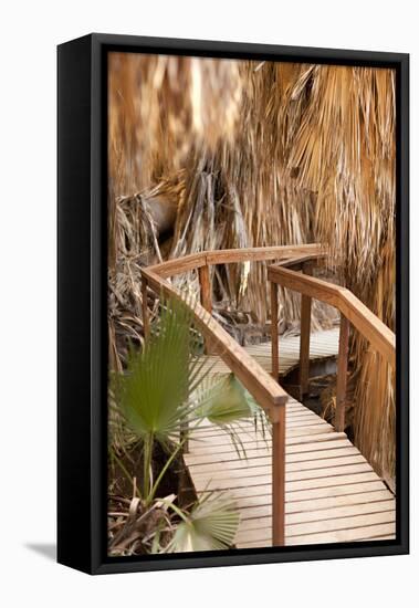 Palm Pathway II-Karyn Millet-Framed Premier Image Canvas