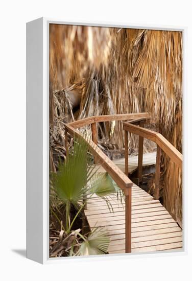 Palm Pathway II-Karyn Millet-Framed Premier Image Canvas