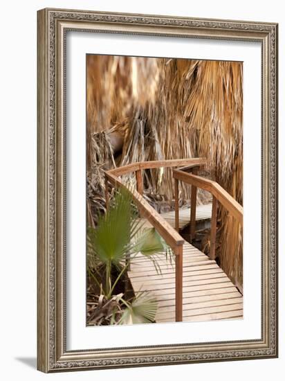 Palm Pathway II-Karyn Millet-Framed Photographic Print