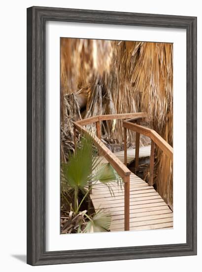 Palm Pathway II-Karyn Millet-Framed Photographic Print