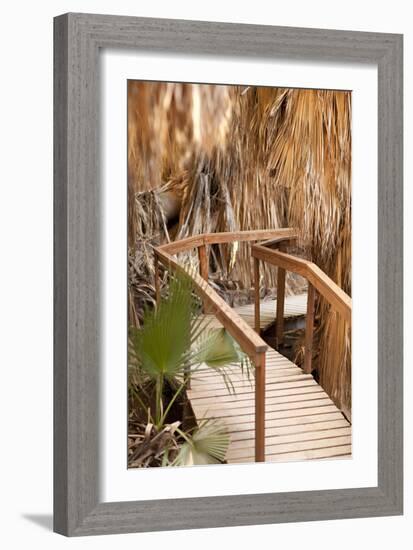 Palm Pathway II-Karyn Millet-Framed Photographic Print